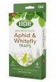 APHID & WHITEFLY TRAP